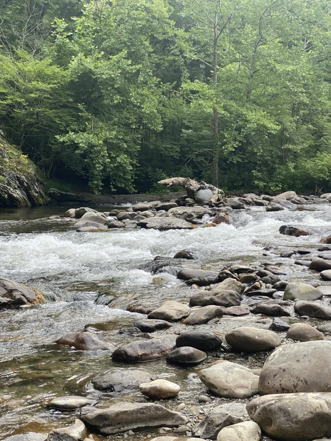 Townsend Wye river in siummer 