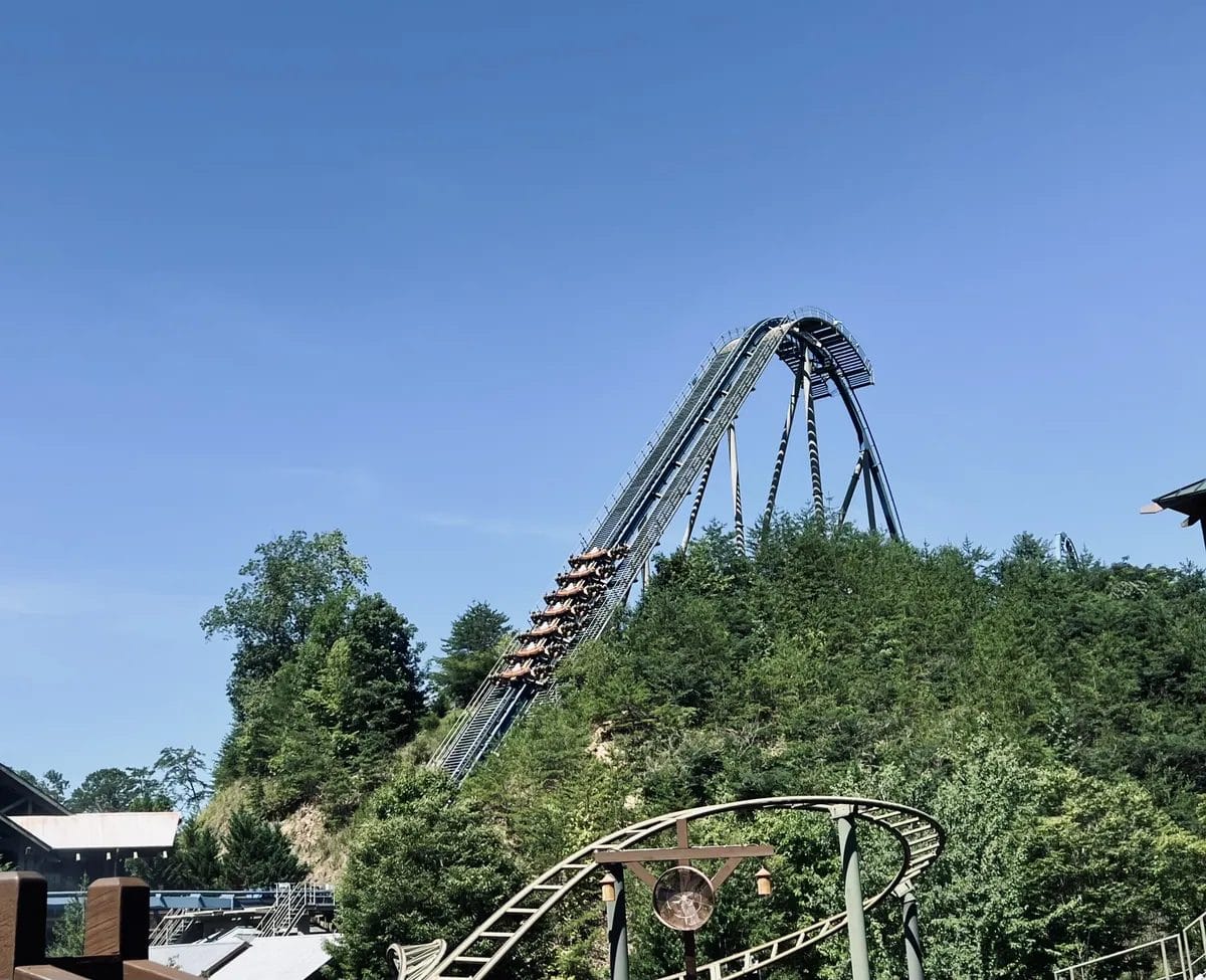 Dollywood Wild Eagle 